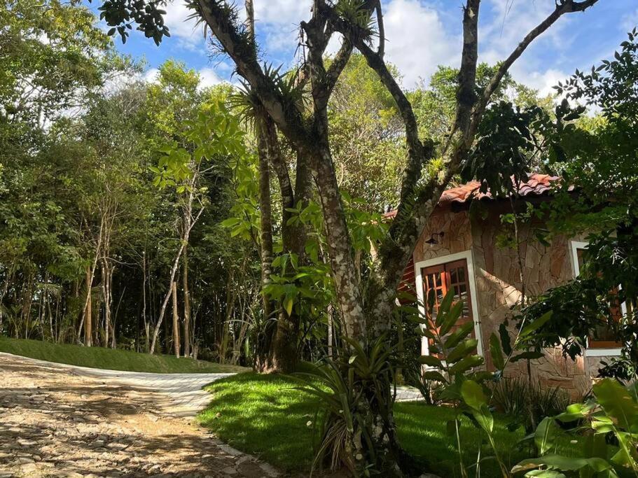 Chale Carolina Bela Villa Guaramiranga Exterior photo